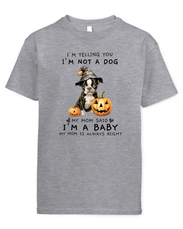 Youth's Standard T-Shirt