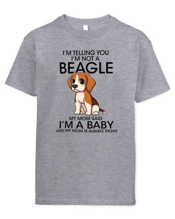 Youth's Standard T-Shirt