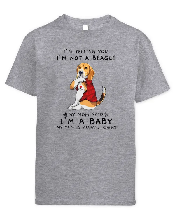 Youth's Standard T-Shirt