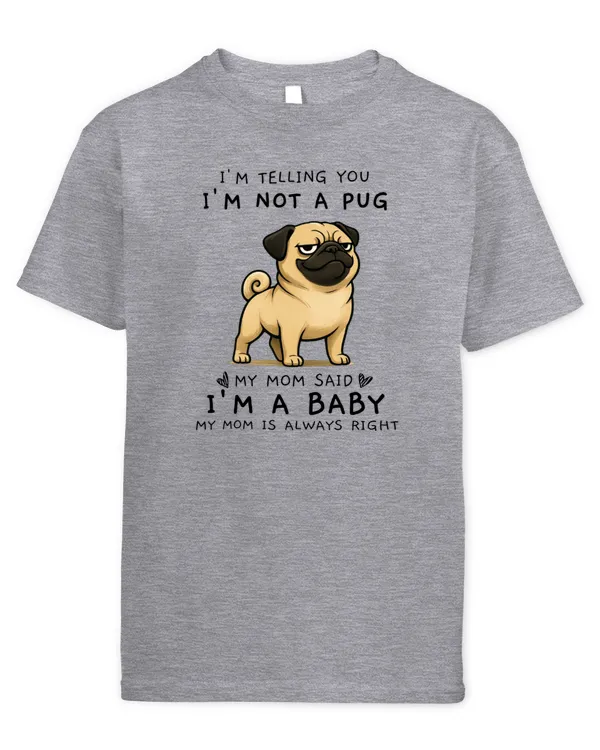 Youth's Standard T-Shirt