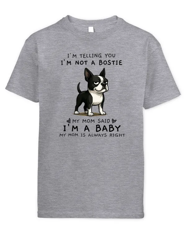 Youth's Standard T-Shirt