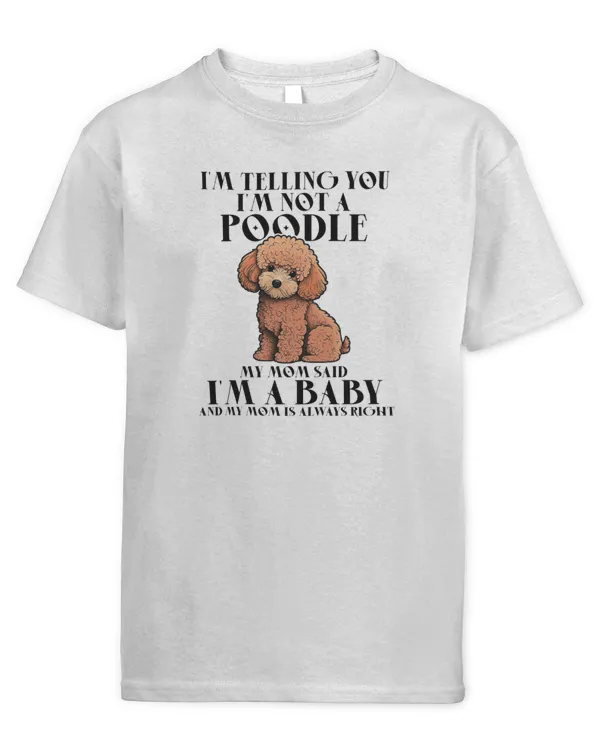 Youth's Standard T-Shirt