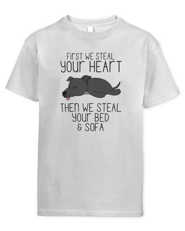 Youth's Standard T-Shirt