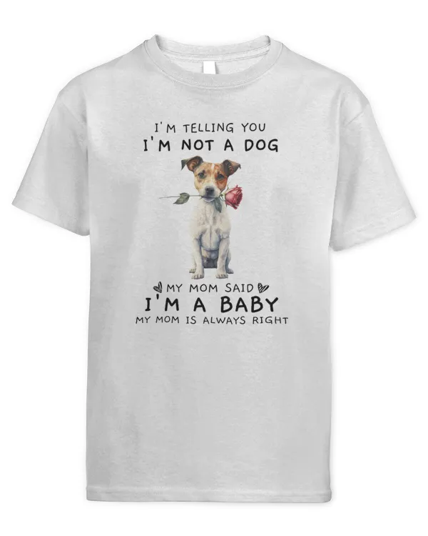 Youth's Standard T-Shirt