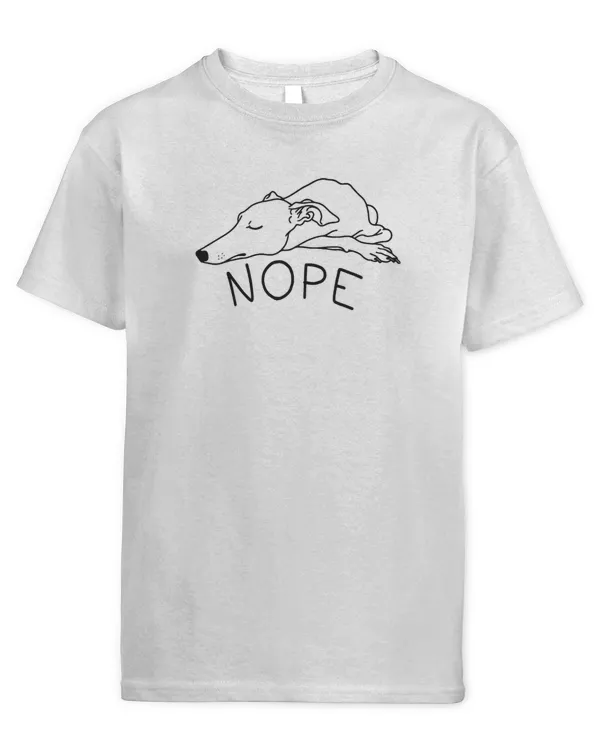 Youth's Standard T-Shirt