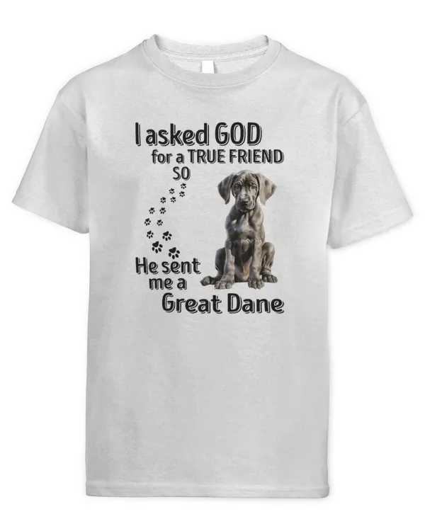 Youth's Standard T-Shirt
