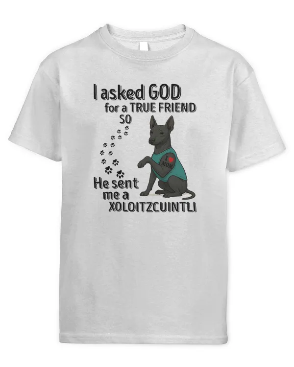 Youth's Standard T-Shirt