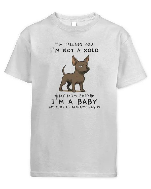 Youth's Standard T-Shirt