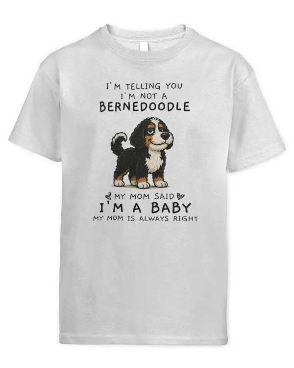 Youth's Standard T-Shirt