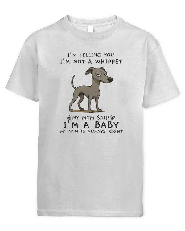 Youth's Standard T-Shirt