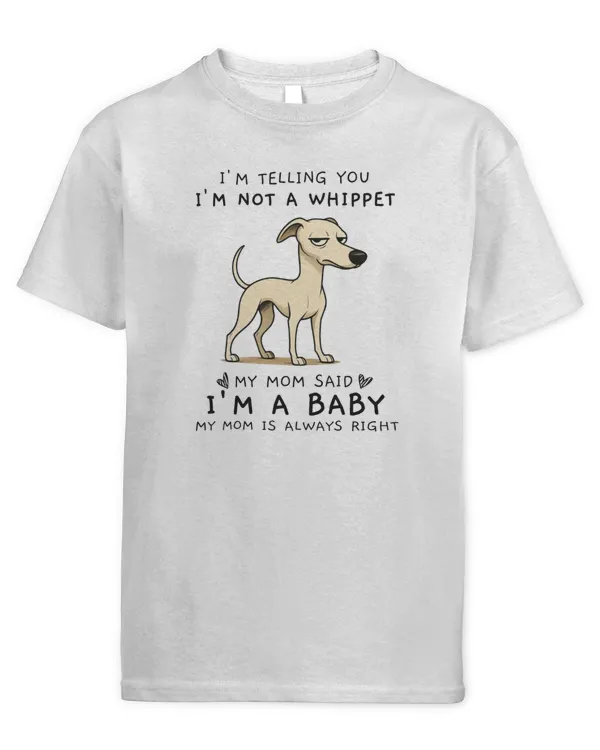 Youth's Standard T-Shirt