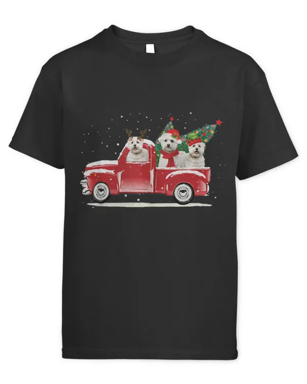 Youth's Standard T-Shirt
