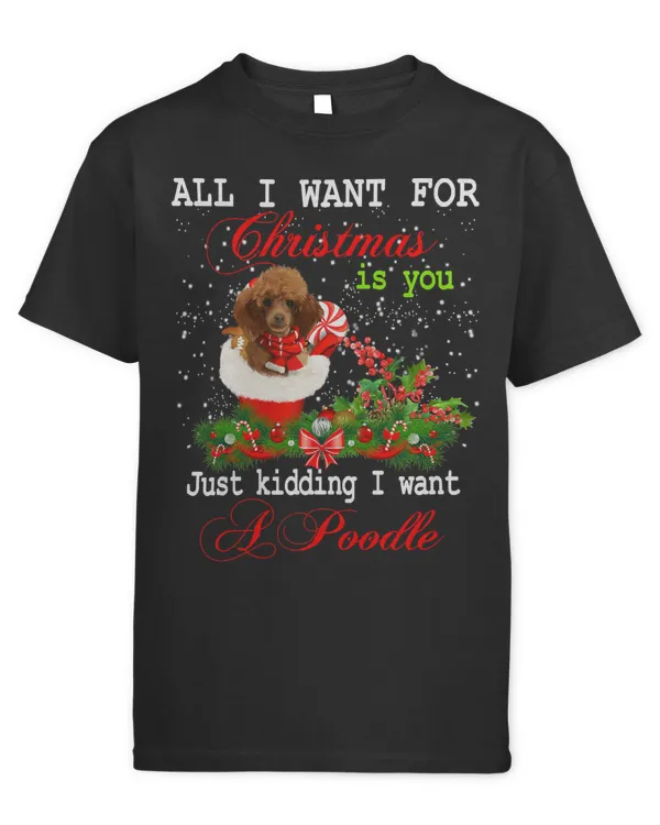 Youth's Standard T-Shirt
