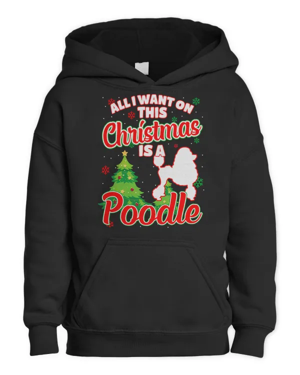 Youth Pullover Hoodie