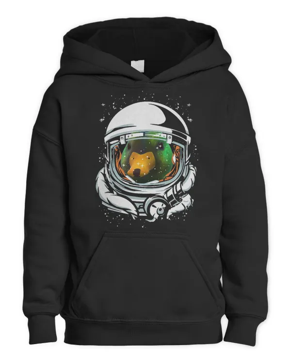 Youth Pullover Hoodie