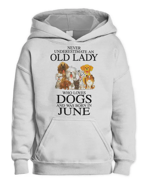 Kids Pullover Hoodie