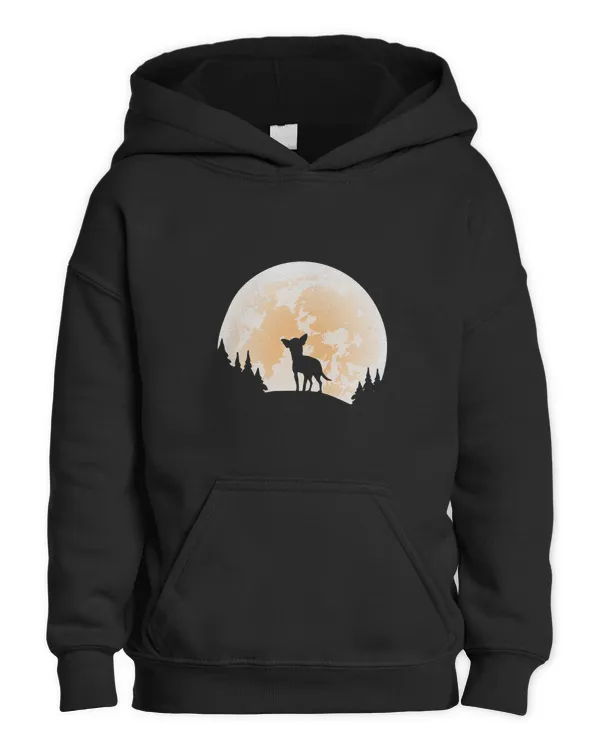 Kids Pullover Hoodie