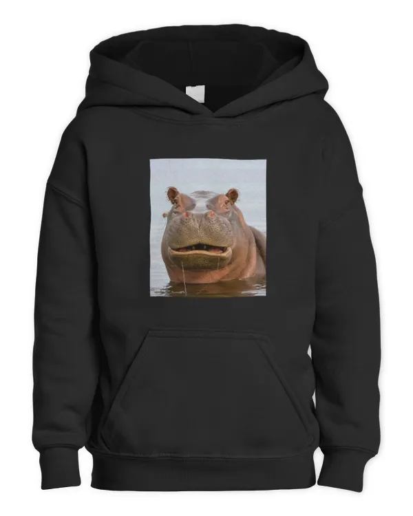 Kids Pullover Hoodie