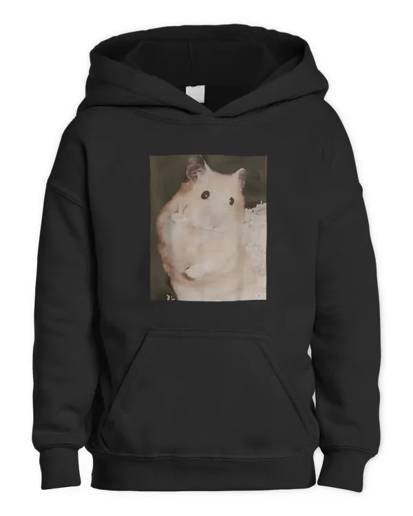 Kids Pullover Hoodie