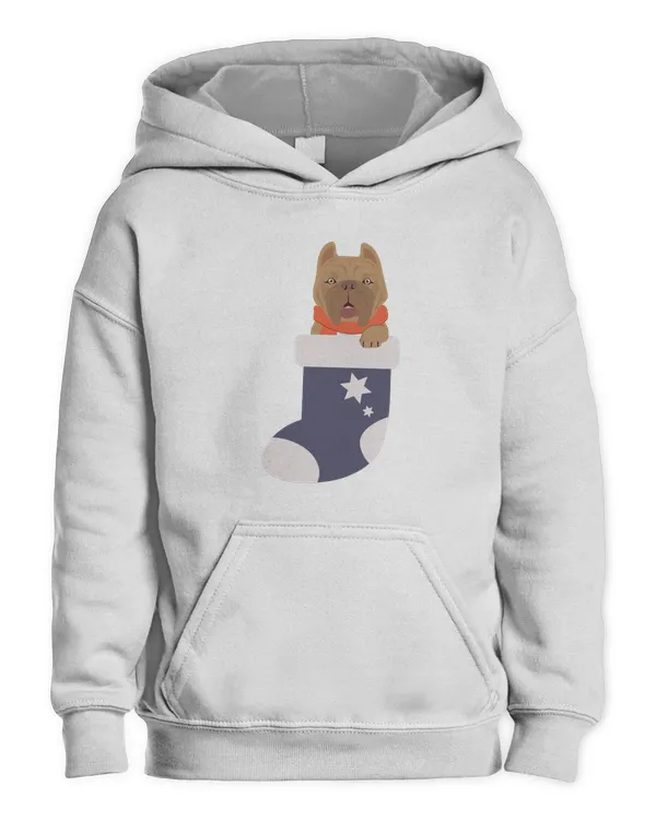 Kids Pullover Hoodie