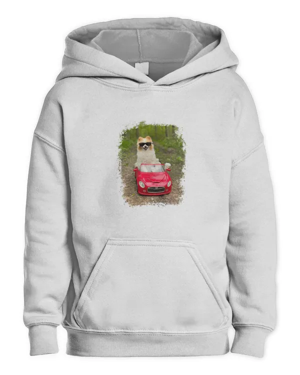 Kids Pullover Hoodie