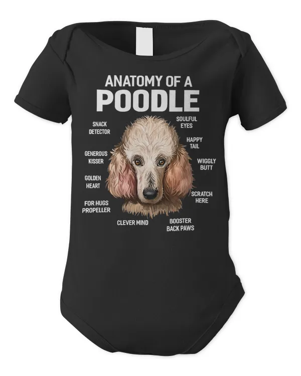 Infant Short Sleeve Bodysuit