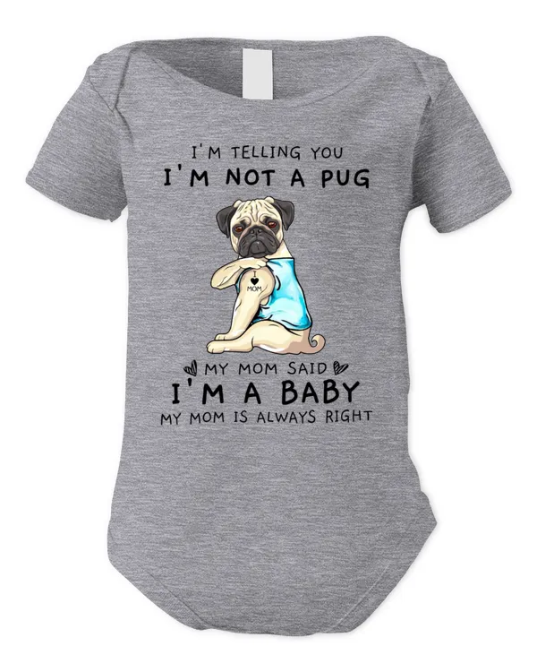 Infant Short Sleeve Bodysuit