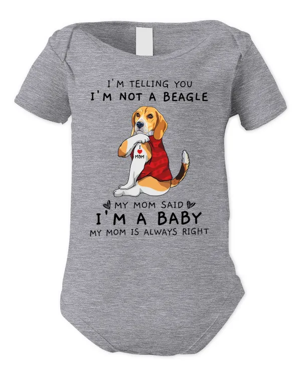 Infant Short Sleeve Bodysuit