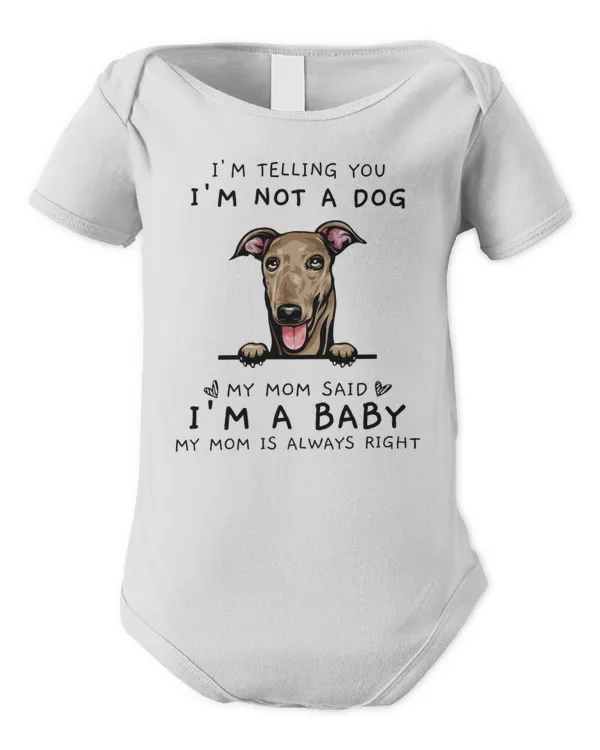 Infant Short Sleeve Bodysuit