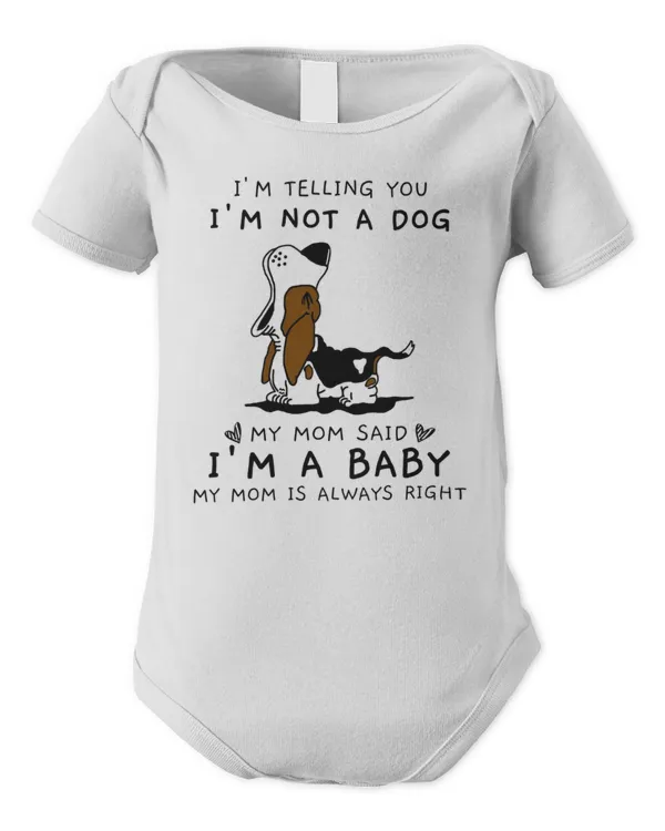 Infant Short Sleeve Bodysuit