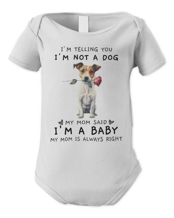 Infant Short Sleeve Bodysuit