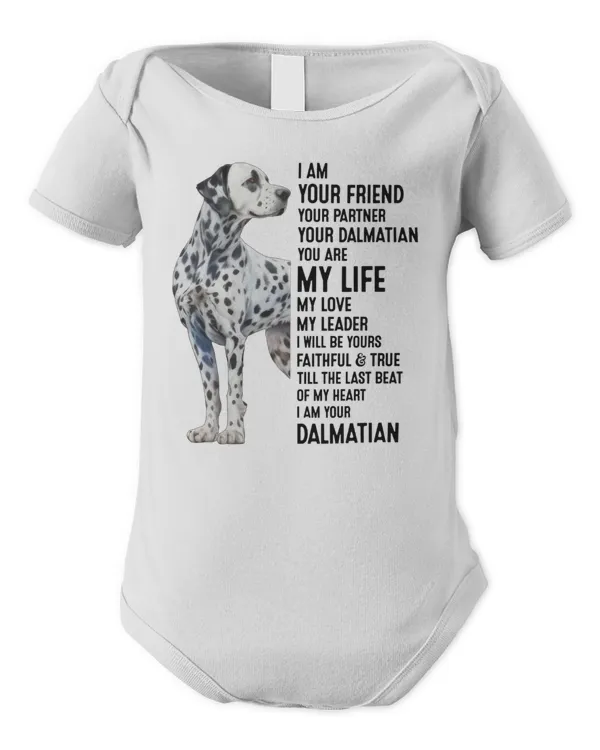 Infant Short Sleeve Bodysuit