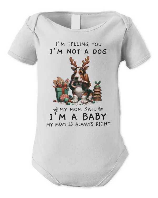 Infant Short Sleeve Bodysuit