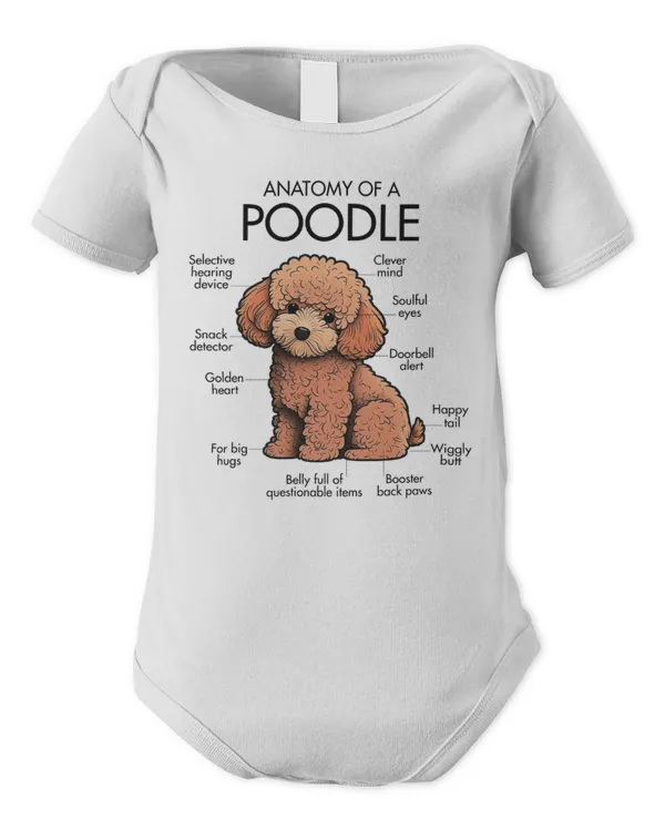 Infant Short Sleeve Bodysuit