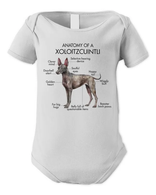 Infant Short Sleeve Bodysuit