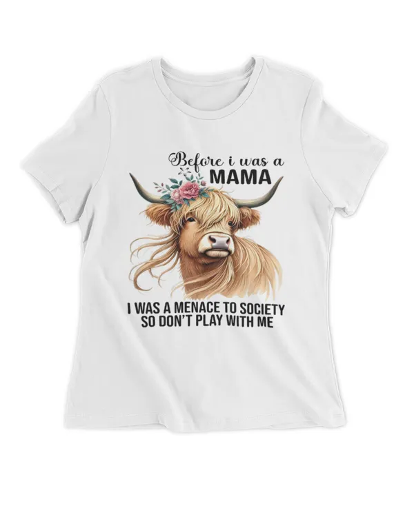 Women's Premium Slim Fit Tee