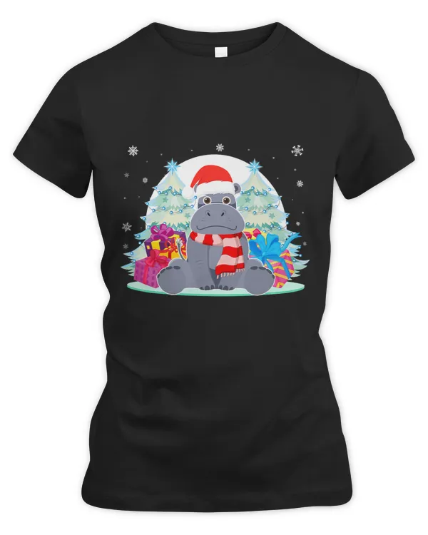 Women's Premium Slim Fit Tee