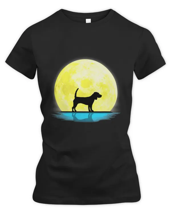 Women's Premium Slim Fit Tee