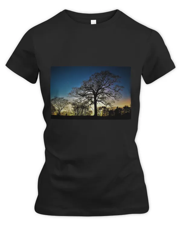 Women's Premium Slim Fit Tee