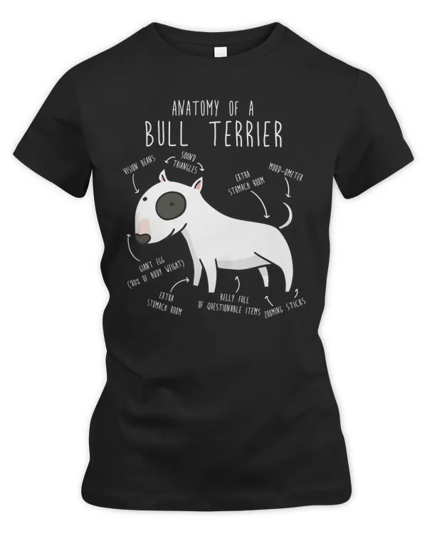 Women's Premium Slim Fit Tee