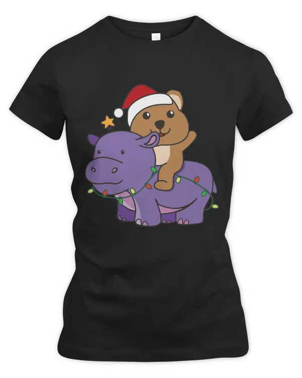 Women's Premium Slim Fit Tee