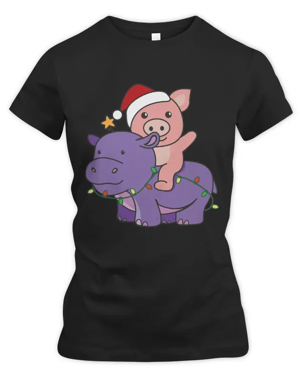 Women's Premium Slim Fit Tee