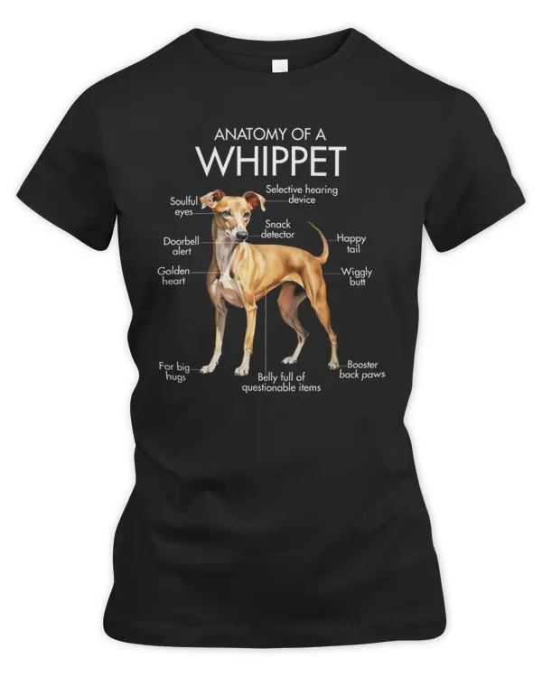 Women's Premium Slim Fit Tee