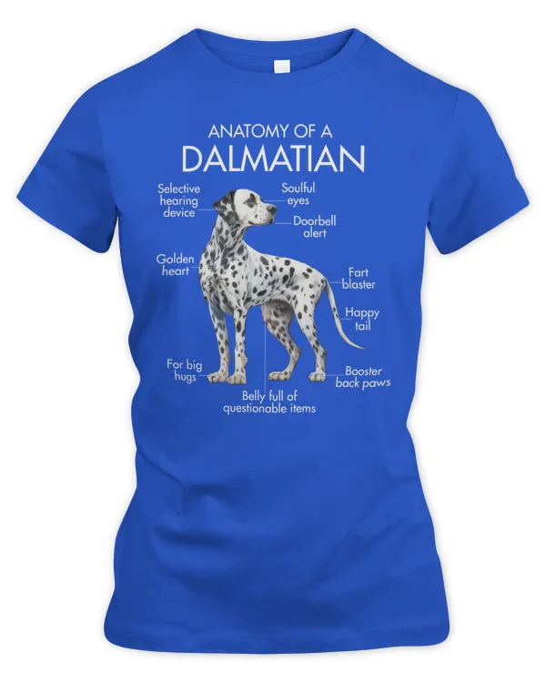 Women's Premium Slim Fit Tee