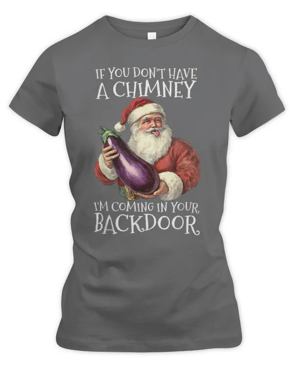 Sexual Innuendo Santa Rude Christmas - Women's Premium Slim Fit Tee Women's Premium Slim Fit Tee