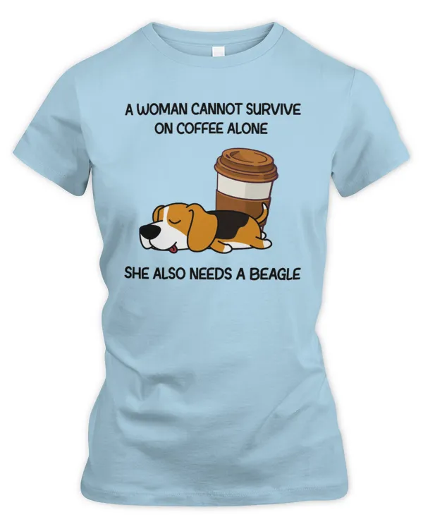 Women's Premium Slim Fit Tee