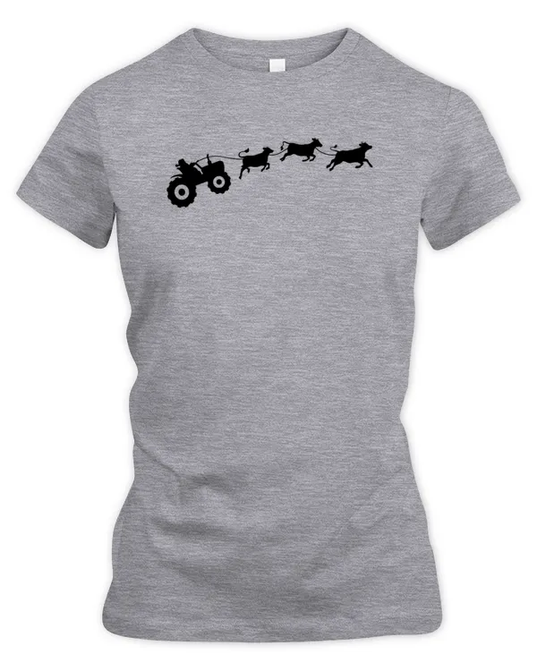 Women's Premium Slim Fit Tee