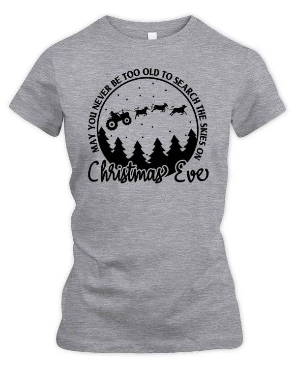 Women's Premium Slim Fit Tee