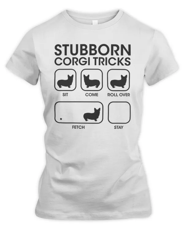 Women's Premium Slim Fit Tee