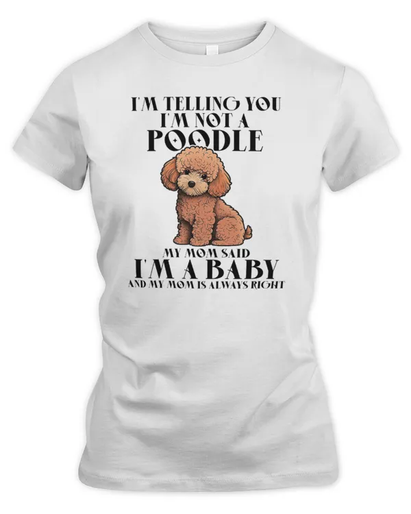 Women's Premium Slim Fit Tee